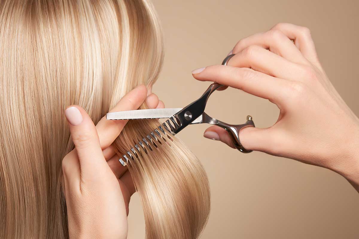 Full Services Hair Salon, Full Service Hair Salon Near Sarasota, Salon Near Sarasota